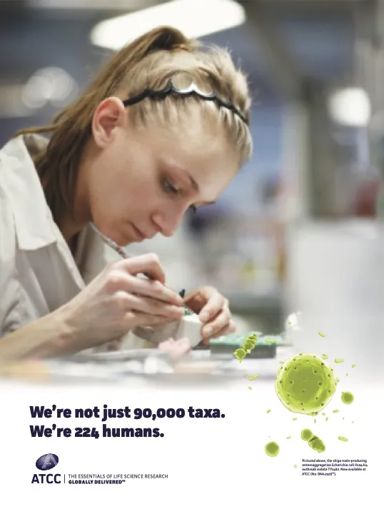 ATCC one-page insert ad