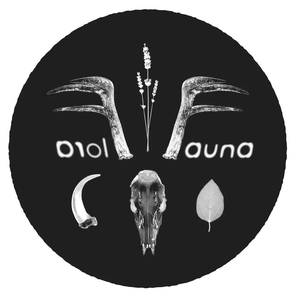 Flora Fauna merch design