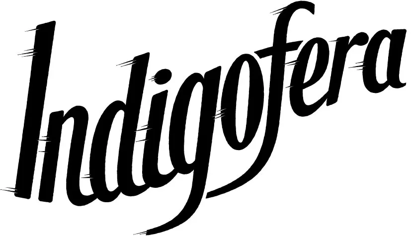 Indigofera logo idea