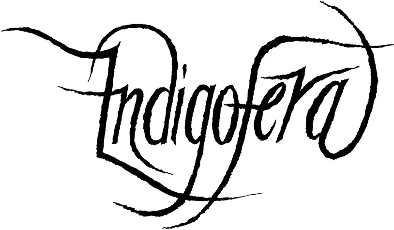 Indigofera logo idea
